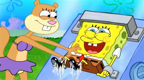 spongebob squarepants and sandy|does sandy like spongebob.